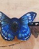 spinki i klamry do włosów Skórzana spinka blue monarch z kamieniem 1