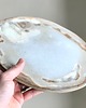 patery i talerze Talerz krokus 2