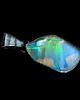 wisiory Multibarwny surowy opal 4