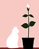 plakaty Plakat - A cat & a flower 2