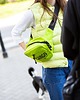 saszetka nerka Nerka lime MEDIUM 1