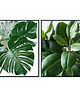 plakaty Dwa plakaty - Tropical 3