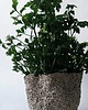 wazony Ceramiczny wazon pieprz i sól 3
