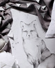 obrazy i plakaty do pokoju dziecięcego Lovely Fox Bilecik White / grey 2