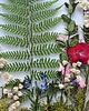 Ozdoby na ścianę Prezent dla Nowożeńców- Botaniczny Obraz 4