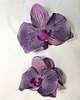 spinki i klamry do włosów Fioletowa spinka z orchideą 2