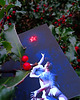 plakaty Plakat Christmas Tree Night WINTER 2