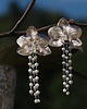 kolczyki srebrne Orchidea, storczyk, kolczyki srebrne 1