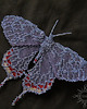 broszki Nocny motyl I, brosza, beading 5