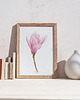 grafiki i ilustracje Magnolia, grafika, akwarela 6