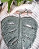makramy Liść Monstery - makrama monstera, zawieszka ścienna 6