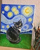 obrazy Portret Twojego pupila w stylu Van Gogh - okazja! Darmowa dostawa! 2