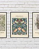 plakaty ZESTAW PLAKATÓW vintage, William Morris 2