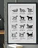 plakaty Plakat  - Rasy psów, vintage 2