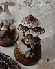 figurki i rzeźby Dekoracja z grzybami - szklany klosz kopułka z Kaniami 2
