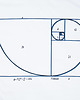 t-shirty męskie koszulka FIBONACCI BLUE Tshirt 1