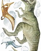 naklejki ścienne do pokoju dziecka Naklejki DINO 1
