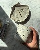 mydelniczki Jasno Zielony Ceramiczny Zestaw Łazienkowy z Mydelniczką Muszlą Biała 2