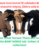 zabawki - inne Baby Horse Standard - bay 7