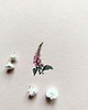obrazy Naparstnica, Botanical illustration, miniatura 9