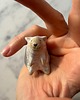 figurki i rzeźby Ceramiczna Figurka Owieczka Kolekcjonerskie Miniaturowe Figurki Owca Desk Buddy 4