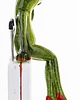 figurki i rzeźby Figurka - żabka 17x8,8x7,5 cm FROGG turystka 4
