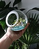 dodatki - różne Terrarium natura zamknięta w szkle 3