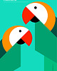 obrazy i plakaty do pokoju dziecięcego Plakat Parrots 1