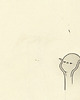 grafiki i ilustracje I just want to nap and be small 1