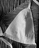 piżamy damskie GAJA set white 3