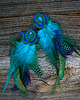 kolczyki soutache Kolczyki soutache z piórkami 5