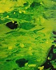 obrazy Obraz ręcznie malowany na płótnie 24x30 cm - abstrakcja 5