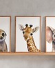 obrazy i plakaty do pokoju dziecięcego Zestaw Plakatów Tryptyk Safari P109 2