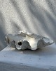figurki i rzeźby Ceramiczna Rzeźba Muszla XXL Mother of Shells no 10 2