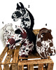 zabawki - inne Hobby Horse - appaloosa- A2-A5 4