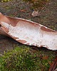 patery i talerze Patera ,,Kurinuki" - oryginalna i ozdobna 1