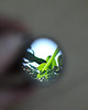 wisiory Whisper Mirror 2