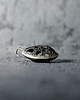 wisiory Wisiorek Silver Planet 6
