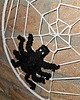 Ozdoby na ścianę Pajęczyna - dekoracja na Halloween 1