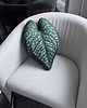 poduszki z grafiką Poduszka Liść Anthurium Luxurians 1