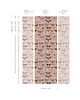 tapety i naklejki ścienne Tapeta Colorful Butterfly Pink 1