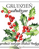 naszyjniki - inne Naszyjnik GRUDZIEŃ lapis lazuli, ostrokrzew 2