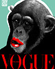 plakaty Plakat Prawdziwa Okładka Vogue Poland! 1