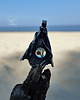 wisiory "Birdhouse" vol.II 6