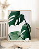 fotografia PLAKAT MONSTERA LIŚCIE BOTANICZNY z monsterą 2