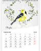 obrazy Kalendarz z ptakami 2024 2