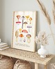plakaty Plakat "Grzyby" 30x40 cm na kremowym tle 3