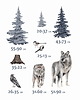 naklejki ścienne do pokoju dziecka Naklejki KRASOVY WOLF 1