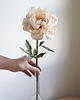 dodatki - różne Dekoracja botaniczna, kwiat z papieru, piwonia 1