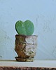 doniczki ŚLADY NATURY III_doniczka ceramiczna handmade_surowa forma 4